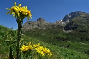 MONTI VINDIOLO e VETRO ad anello da Zorzone-Pian Bracca in VAL VEDRA il 13 giugno 2019 - FOTOGALLERY